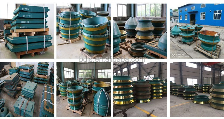 Highly Durable Crusher Jaw Plate for C110 C125 Machine Parts and Drawings Number