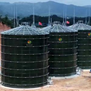 China Dung Gas Plant Human Waste Biogas Plant Anaerobic Digestion Power Plant wholesale