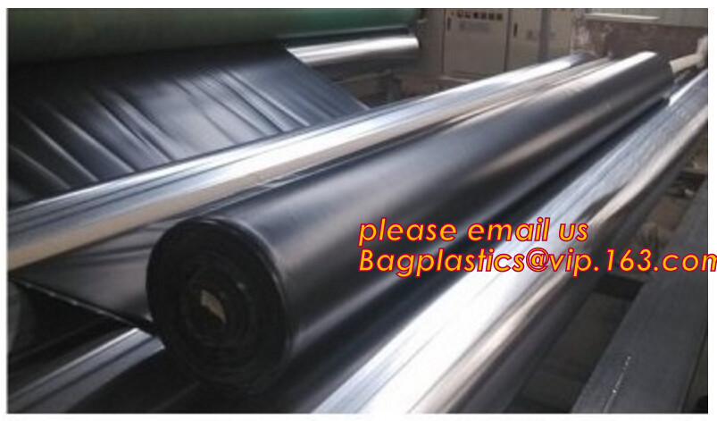 HOTICULTURAL MULCH FILM,AGRICULTURAL PE FILM,MARKET GARDENERS CLOCHE FILM,PE FILM FOR CORN,PLASTIC FILM COVER,TOMATO COV