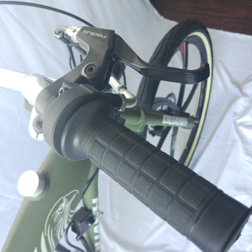 80CC Gas Bike Motorized Bicycle Chopper Fork 40-60km/h Max. Speed 2-Stroke or 4-Stroke