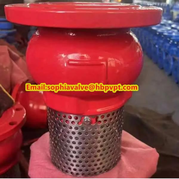 Base GGG50 DIN flanged foot valve made in China