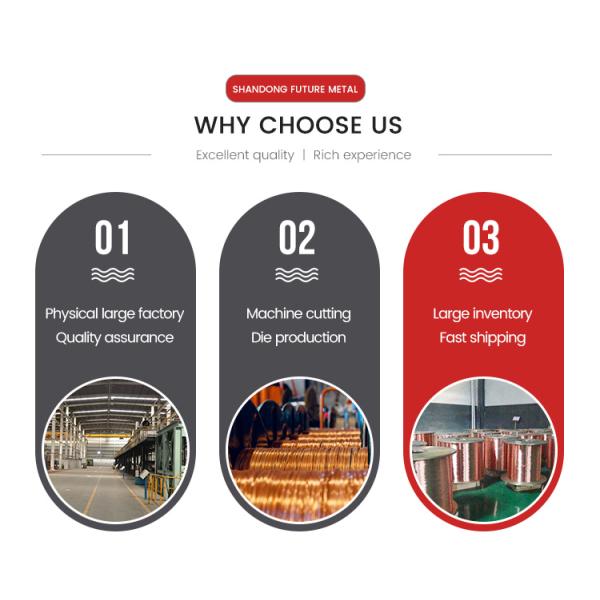 Golden 99.95% Copper Products C1100 C1200 C1020 C5191 Pure Copper Coil