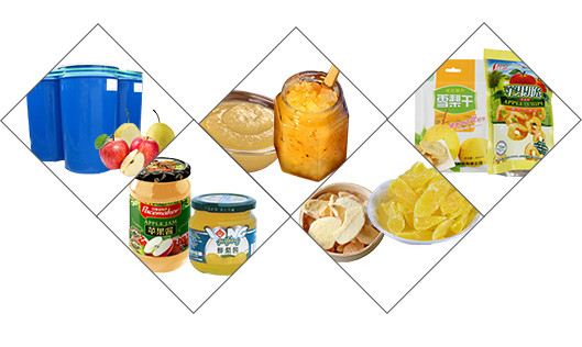 Professional Fruit Processing Line Apple And Pear Juice Production Machine