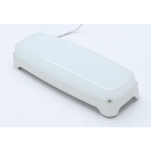 China 3000K 4000K 6500K Moisture Proof LED Lights Multipurpose Durable wholesale