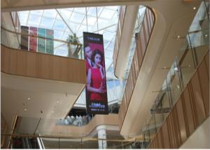 6500K Color Temp Smart LED Poster Display
