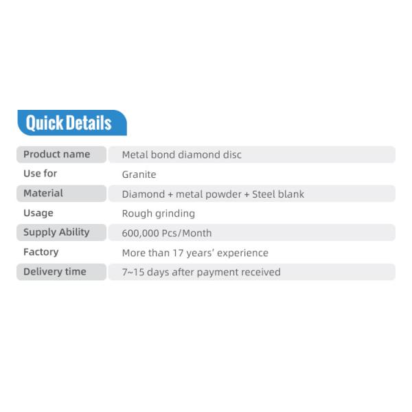 OEM Support Customized 220mm Diamond Grinding Disc for Granite Slab Polishing Grit 200