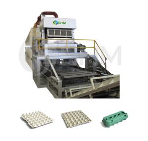 China Paper Pulp Egg Tray Equipment Automatic Egg Tray Moulding Machine wholesale