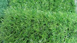 China Football Field Green Carpet/Artifical Lawn Turf grass wholesale