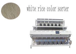 CCD Rice Color Sorter 7 Ton/H Capacity Easy Operating With 448 Channels Intelligent