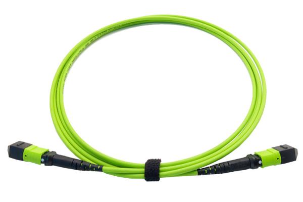 Quality Lemon Green MPO MTP Cable Custom Length Multimode Fiber Optic OM5 Patch Cord for sale