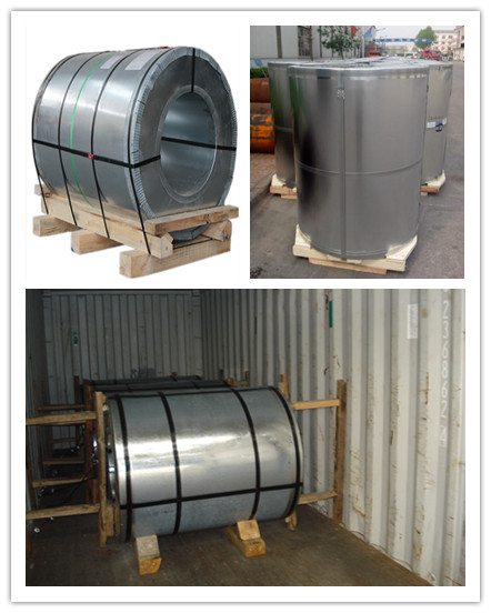 Hot dip galvanized steel,hot roll coils