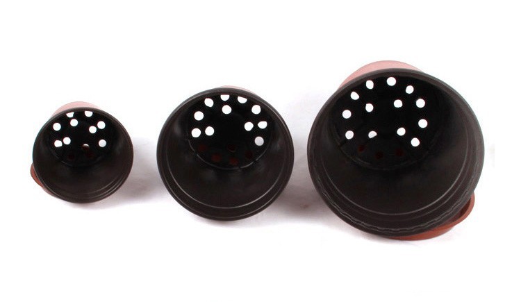 good quality plastic PP hot pepper/Chilly flower pot in low price