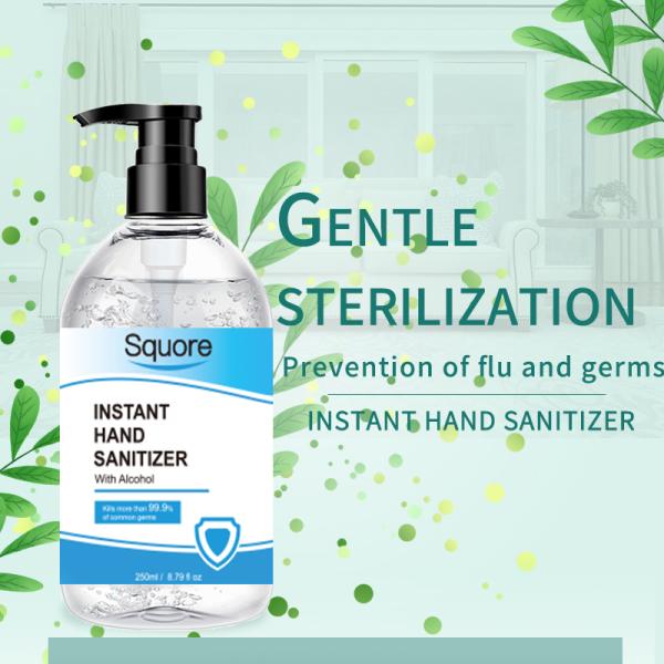 Gentle Flavorless Antibacterial Hand Sanitizer 250ml For Flue / Germs Prevention