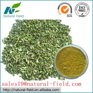 luteolin 90% HPLC by external method
