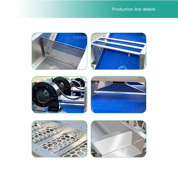 Circulating Hole Fruit Processing Line , Tengsheng Roller Conveying Vegetable Processing Line