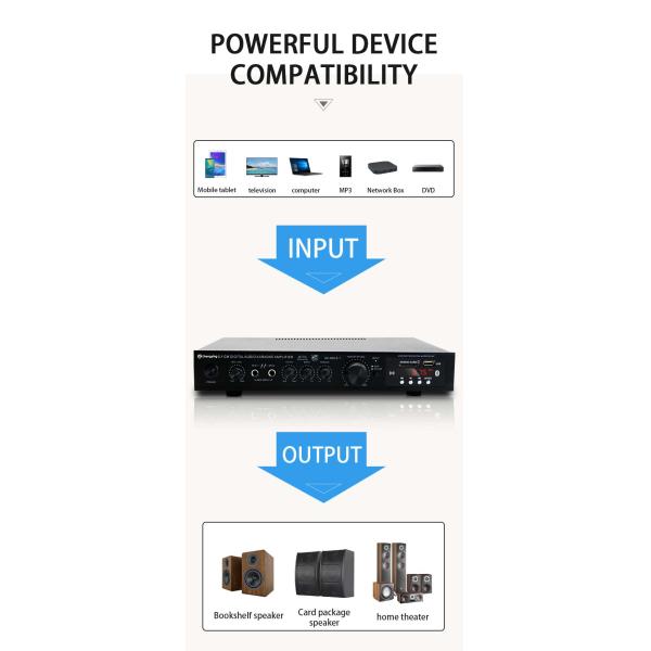 KTV Home Theatre System Professional Amplifier Board with 2 Mic Inputs and LDZS 5.1 Channel Nobsound Stereo Mixer