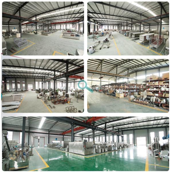 Turkey Service Floating Fish Feed Making Machine 0.1-3 TPH