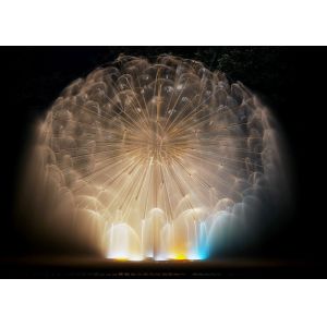 Amazing Dandelion Water Fountain , Mini Music Fountain Subject Theme Customized