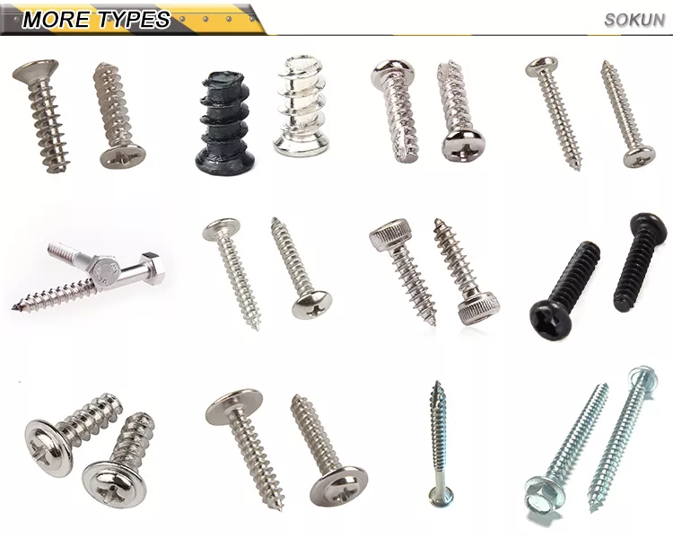 Power Construction Projects Black Oxide Finish Stainless Steel Countersunk Head Screws with ISO Standard and Plain Finish