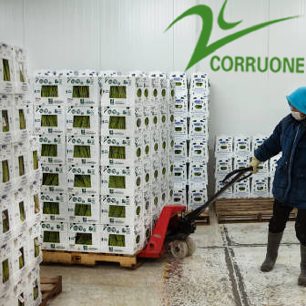 Asparagus Corrugated Plastic Produce Boxes Food Grade Black White