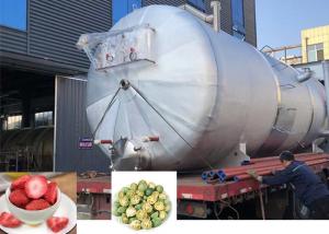 China Large Industrial Freeze Dryer Machine 300Kg 500Kg 1000Kg wholesale