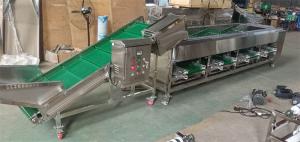 China onion sorting machine, onion grading machine, onion sorter grader wholesale