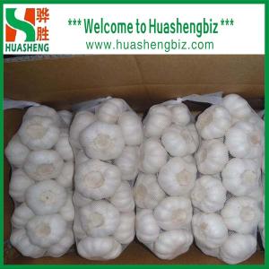 China Normal white garlic wholesale