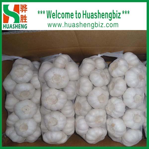 Quality Normal white garlic for sale