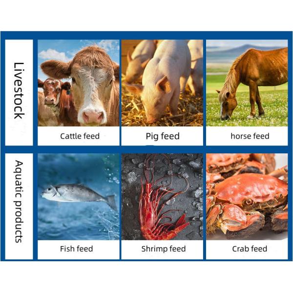 Pellet Production Process Pellet Mill Machine Feed Pellet Mill Alloy Steel