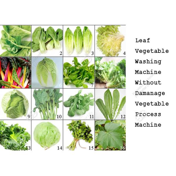 Leaf Vegetable Washing Machine Fruit And Vegetable Processing Equipment Without Damanage