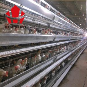 China Cage Manufacturer 90 - 160 Birds Hot Galvanized Laying Hen Farming Equipments Layer Chicken Cage wholesale