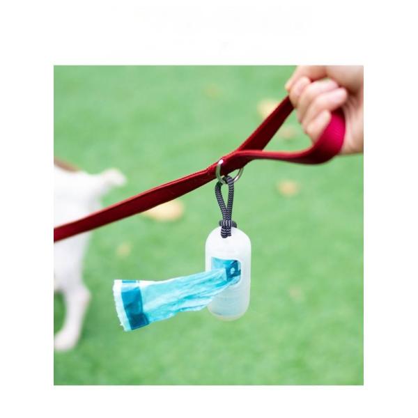 Pet Adjustable Leash And Diving Nylon Collar Anti-Escape Dog Walking Set