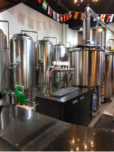 Home Brewing Equipment with 60 Degree Cone Fermentation Tank from GSTA Outlet