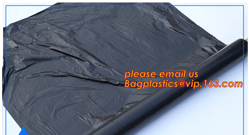 HOTICULTURAL MULCH FILM,AGRICULTURAL PE FILM,MARKET GARDENERS CLOCHE FILM,PE FILM FOR CORN,PLASTIC FILM COVER,TOMATO COV