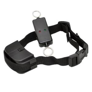 China Efficient Remote Pet Training Collar , Leash-Walking Dog Training Device wholesale