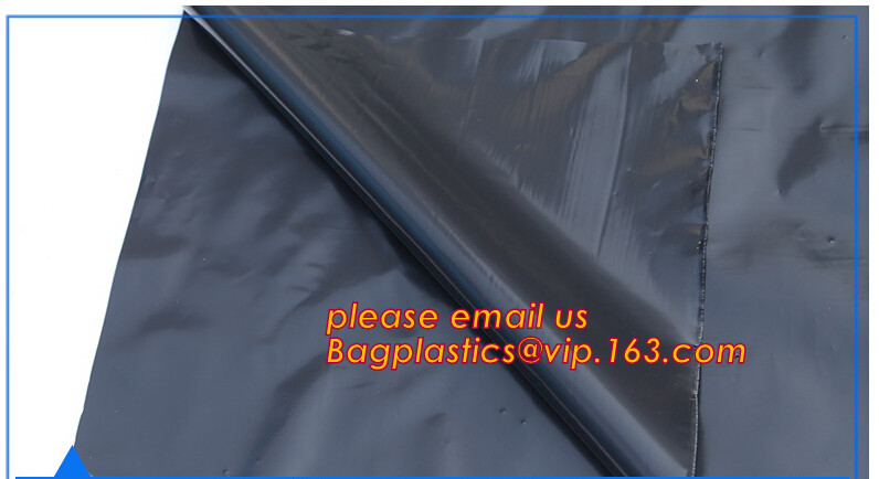 HOTICULTURAL MULCH FILM,AGRICULTURAL PE FILM,MARKET GARDENERS CLOCHE FILM,PE FILM FOR CORN,PLASTIC FILM COVER,TOMATO COV