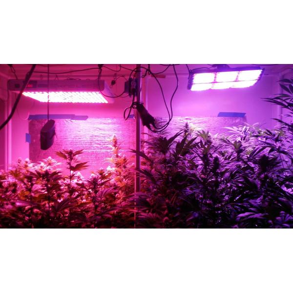 756W IP65 Waterproof LED Grow Top Lighting 610*150*100mm Compact Structure