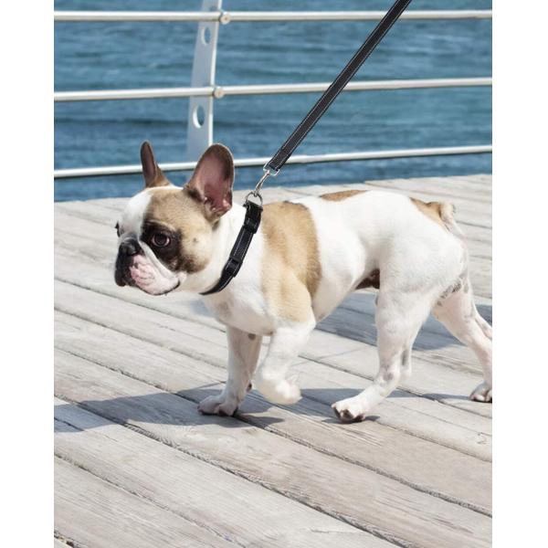Soft Padded Handle Reflective Nylon Dog Leash With For Training Walking Lead Dogs