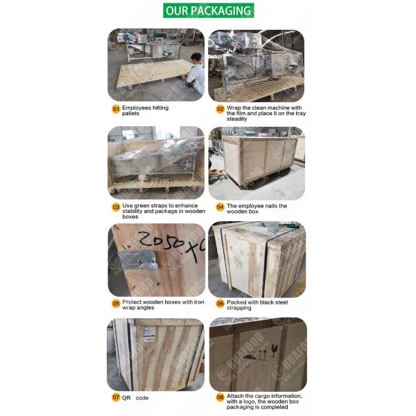 1.52Kw SUS304 3000kg/H Onion Processing Equipment