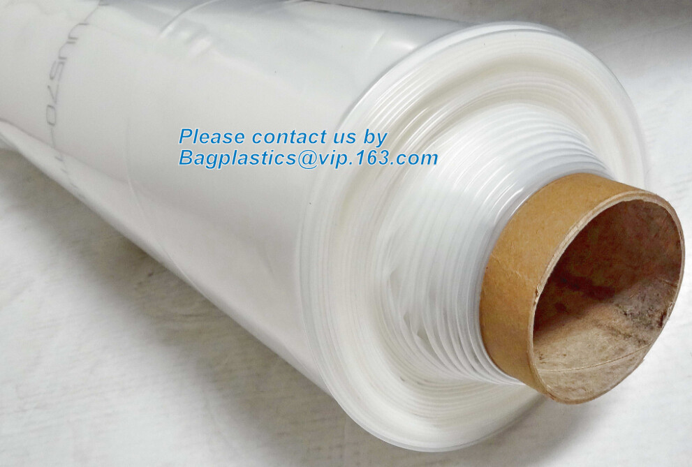 HOTICULTURAL MULCH FILM,AGRICULTURAL PE FILM,MARKET GARDENERS CLOCHE FILM,PE FILM FOR CORN,PLASTIC FILM COVER,TOMATO COV