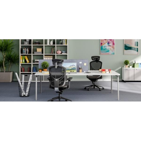 High Back Lumbar Support Adjustable Computer Chair 3D Paddle Shift Control System