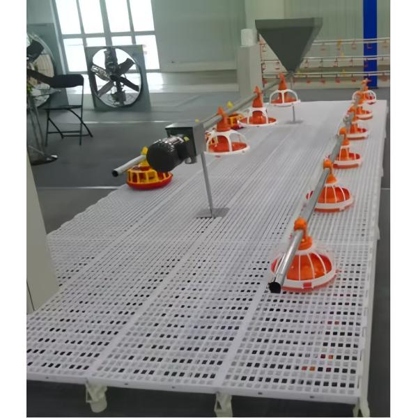 Size Customized Steel Poultry House Broiler Poultry Shed With Automatic Equipment