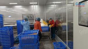 China Automatic Orange Juice Processing Line Multifunctional Complete Set Of Machines For Citrus Product Processing Plants wholesale