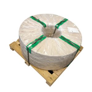 ASTM Alloy Steel Strip