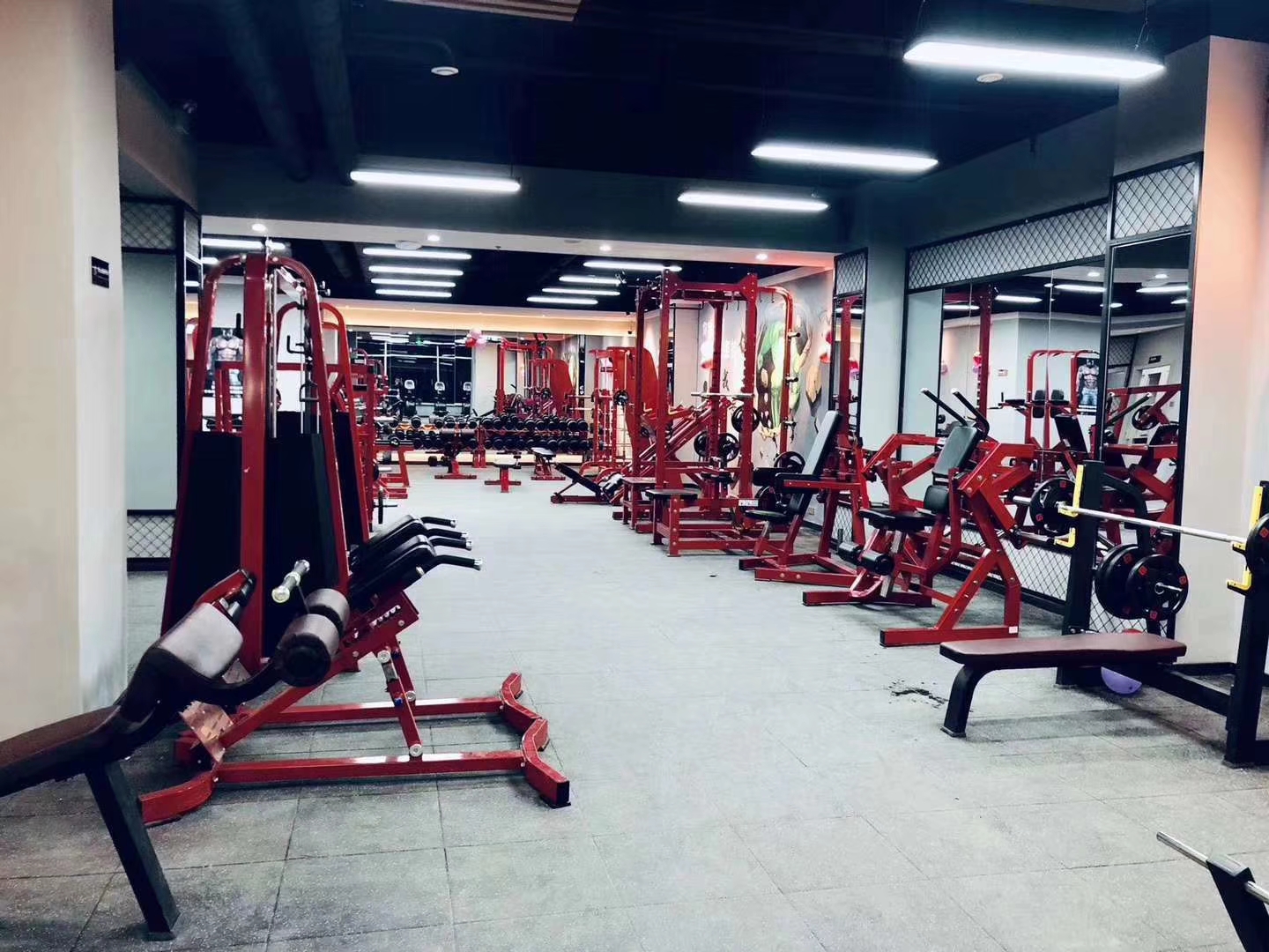 Home T Bar Row Commercial Plate Loaded Arms Back Workout Incline Level
