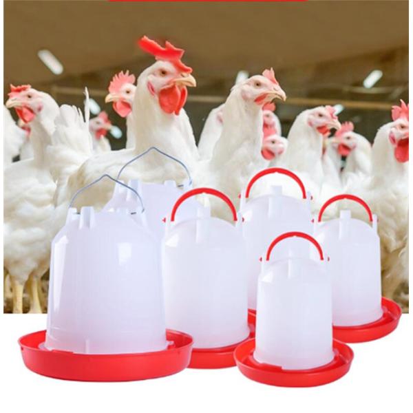 HDPE Poultry Water Drinkers 15KG Automatic Water Feeder For Chickens