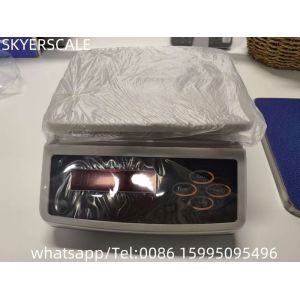 30kg D11 Series Electronic Weighing Platform Scale