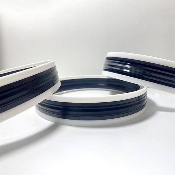 Close-up view of TPM-236173/248185 seal components