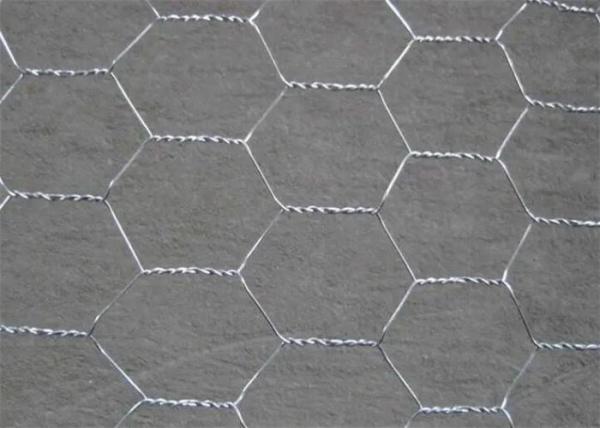 Quality 0.5in Hexagonal Chicken Coop Galvanized Wire Mesh Galvanised Wire Netting 50m Roll for sale