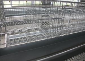 H Type Layer Chicken Cage Full Automatic Open House Battery Cage System